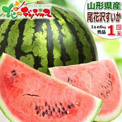 �y�\��z�R�`���Y ���ԑ򂷂��� 1�� (�G�i/1�� ��6kg�~1��) �X�C�J ���Z ������ �M�t�g ���蕨 ������