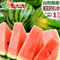 �y�\��z�R�`���Y ���ƒ�p ���ԑ򂷂��� 1�� (1�� ��5kg) �X�C�J ���Z �󂠂� ����p ���ƒ�p ������