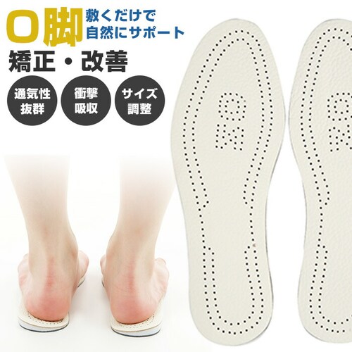 �C���\�[�� o�r �T�|�[�g �ʔ� �Ռ��z�� ���f�B�[�X �����Y �N�b�V���� �C ���~�� �����p �j���p ���� �C�� �����ƃT�|�[�^�[ �����d�� S�T�C�Y �� 23cm M�T�C�Y �� 24cm L�T�C�Y_0