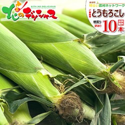 �y�\��z���Y�҂��񉞉��I �k�C���Y ���ƒ�p �Ƃ����낱�� 10�{���� (�󂠂�/�①��) ��y�����邢�_��