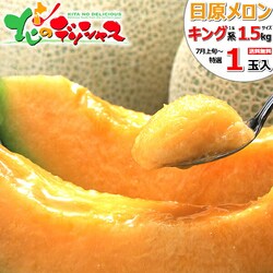 �y�\��z�k�C���Y ���������� 1�ʓ��� (1�� 1.5kg/�L���O�n/�①��) �ԓ������� ������ ���蕨 ������