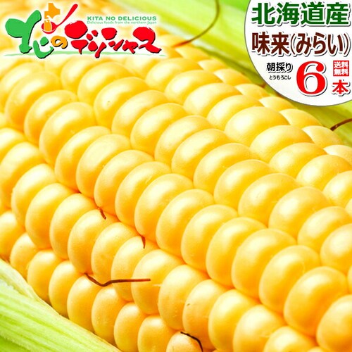 【予約】北海道産 とうもろこし 味来 6本入り (冷蔵便) とうきび コーン スイートコーン 野菜 お取り寄せ_0