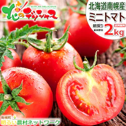 �y�o�ג��z�k�C�� ��y���Y �~�j�g�}�g 3�� �l�ߍ��킹 2kg (���܂���/�①��) ��y�����邢�_���l�b�g���[�N ��� ������