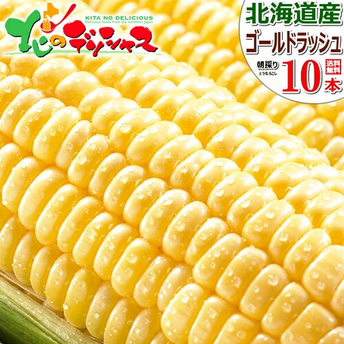 �y�\��z�k�C���Y �Ƃ����낱�� �S�[���h���b�V�� 10�{���� (�①��) �Ƃ����� �X�C�[�g�R�[�� ������_0