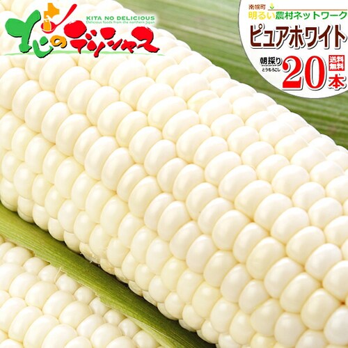 【予約順に順次出荷中】とうもろこし ピュアホワイトSP 20本 (冷蔵便) 北海道産 南幌町明るい農村ネットワーク 北海道 グルメ お取り寄せ_0