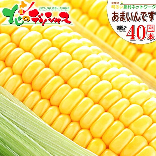 【予約順に順次出荷中】とうもろこし あまいんです 40本 (黄/冷蔵便) 北海道産 南幌町明るい農村ネットワーク 北海道 グルメ お取り寄せ_0