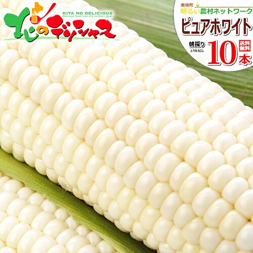 【予約順に順次出荷中】とうもろこし ピュアホワイトSP 10本 (冷蔵便) 北海道産 南幌町明るい農村ネットワーク 北海道 グルメ お取り寄せ_0