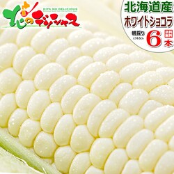 �y�\��z�k�C���Y �Ƃ����낱�� �z���C�g�V���R�� 6�{���� (�①��) �Ƃ����� �X�C�[�g�R�[�� ������