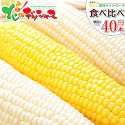 �y�\��z�Ƃ����낱�� �H�ה�� 40�{ (��20�{�E��20�{/�①��) �k�C�� ���邢�_���l�b�g���[�N ������