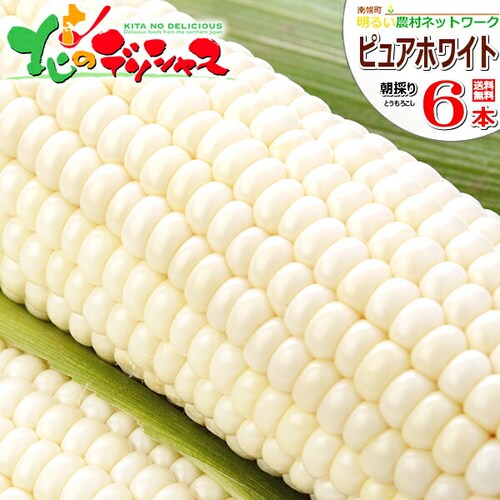 【予約順に順次出荷中】とうもろこし ピュアホワイトSP 6本 (冷蔵便) 北海道産 南幌町明るい農村ネットワーク 北海道 グルメ お取り寄せ_0