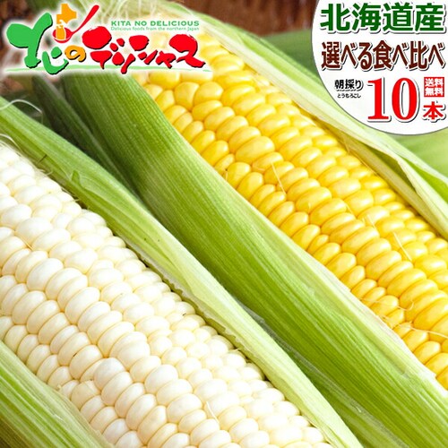 �y�\��z�k�C���Y �Ƃ����낱�� �H�ה�� 10�{�Z�b�g (����5�{�E�z���C�g5�{/�①��) ������_0