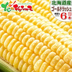 �y�\��z�k�C���Y �Ƃ����낱�� �S�[���h���b�V�� 6�{���� (�①��) �Ƃ����� �X�C�[�g�R�[�� ������