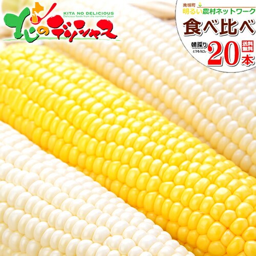 【予約順に順次出荷中】とうもろこし 食べ比べ 20本 (白10本・黄10本/冷蔵) 北海道産 南幌町明るい農村ネットワーク 北海道 グルメ お取り寄せ_0