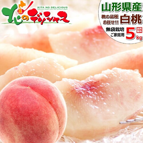 �y�\��z�R�`���Y ���ƒ�p ���� 5kg (�_�炩��/13�ʁ`22�ʓ���/�N�[���①) �󂠂� ���ƒ�p ������_0