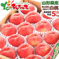 �y�\��zJA�V�� �R�`���Y ���� 5kg (���I/�G�i/12�ʁ`18�ʓ���/�N�[���①)  ���� ���� �c�������� �M�t�g