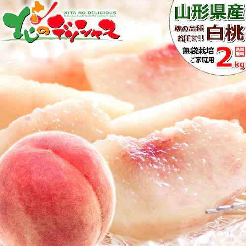 【予約】山形県産 ご家庭用 白桃 2kg (柔らかめ/6玉〜9玉入り/クール冷蔵) 桃 訳あり ご家庭用 お取り寄せ_0