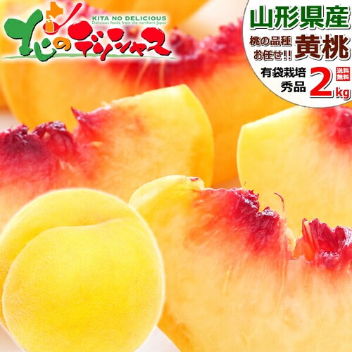 【出荷中】山形県産 黄桃 2kg (有袋栽培/秀品/5玉〜8玉入り/クール冷蔵) もも 桃 残暑見舞い ギフト 贈り物 山形 果物 フルーツ お取り寄せ_0