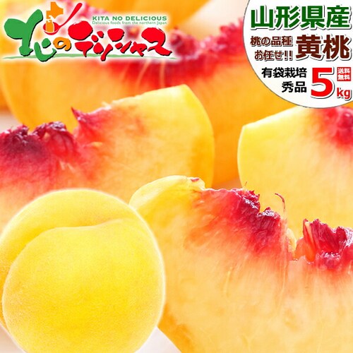 【出荷中】山形県産 黄桃 5kg (有袋栽培/秀品/12玉〜18玉入り/クール冷蔵) もも 桃 残暑見舞い ギフト 贈り物 山形 果物 フルーツ お取り寄せ_0