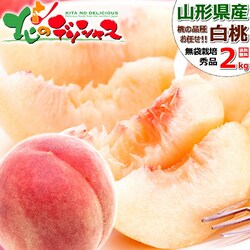 �y�\��z�R�`���Y ���� 2kg (�G�i/�_�炩��/5�ʁ`8�ʓ���/�N�[���①) ���� �� �M�t�g ���蕨 ������