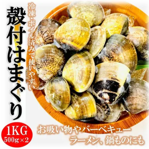 殻付きはまぐり Lサイズ 1Kg (500g×2)砂抜き済み 500gで11〜15個相当 様々な料理に 冷凍はまぐり BBQ お吸い物 だしも活用_0