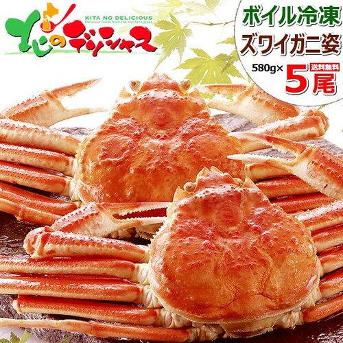 カニ ズワイガニ 580g×5尾 (姿/ボイル冷凍) ずわい蟹 海鮮 ギフト 贈り物 ご家庭用 かに 蟹 お取り寄せ【代引き不可】_0