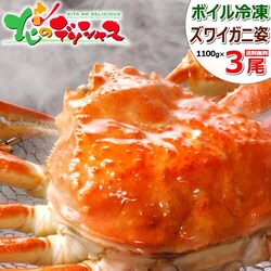 �J�j �Y���C�K�j 1100g�~3�� (�p/�{�C���Ⓚ) ������ ���킢�I �C�N �M�t�g ���ƒ�p ���� ������