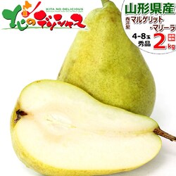 �y�\��z�R�`���Y ���m�� �}���Q���b�g�E�}���[�� 2kg (�G�i/4�ʁ`8�ʓ���) �m�� �M�t�g ���蕨 ������