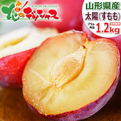 【出荷中】山形県産 プラム 太陽 1.2kg (秀品/10玉〜12玉入り/クール冷蔵) プラム すもも スモモ ギフト 贈り物 ご家庭用 果物 フルーツ 山形 お取り寄せ_0
