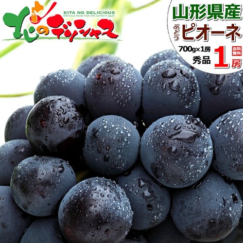 【予約】山形県産 ぶどう ピオーネ 1房 (秀品/700g) ブドウ 葡萄 敬老の日ギフト 贈り物 お取り寄せ_0