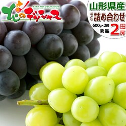 �y�\��z�R�`���Y �Ԃǂ� �V���C�����s�I�[�l 2�[ (�G�i/�e600g�~1) �u�h�E �M�t�g ���蕨 ������