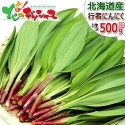 �y�\��z�k�C���Y �R�� ���ƒ�p �s�҂ɂ�ɂ� 500g (�H�p) �󂠂� �V�R �s�҃j���j�N �k�C�� ������