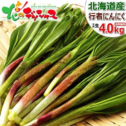 【出荷中】北海道産 山菜 行者にんにく 4kg (食用) 天然 希少 行者ニンニク キトビロ 北海道 お取り寄せ_0