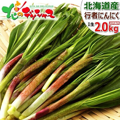 【出荷中】北海道産 山菜 行者にんにく 2kg (食用) 天然 希少 行者ニンニク キトビロ 北海道 お取り寄せ_0