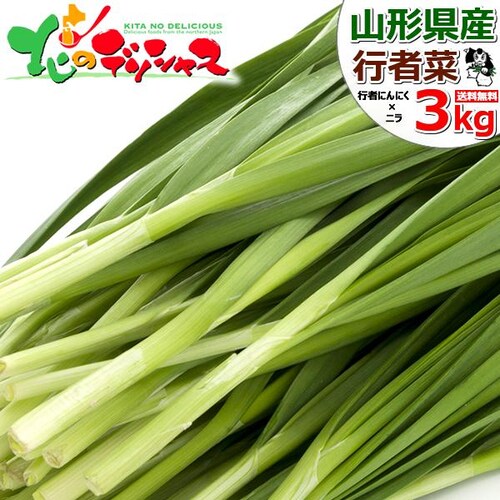 �y�����o�ג��z�k�C�� �ԑ��Y �s�ҍ� 3kg (100g�~30������) �k�C���Y ���傤����� ��� �R�� ������_0