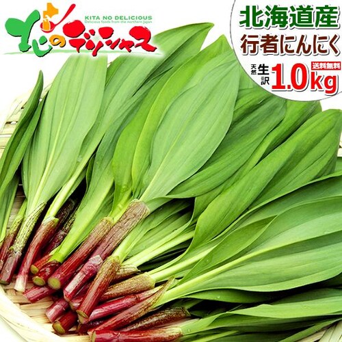 【出荷中】北海道産 山菜 ご家庭用 行者にんにく 1kg (食用) 訳あり 天然 行者ニンニク 北海道 お取り寄せ_0