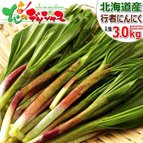 【出荷中】北海道産 山菜 行者にんにく 3kg (食用) 天然 希少 行者ニンニク キトビロ 北海道 お取り寄せ_0