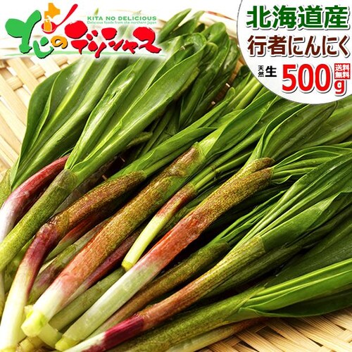 【出荷中】北海道産 山菜 行者にんにく 500g (食用) 天然 希少 行者ニンニク キトビロ 北海道 お取り寄せ_0