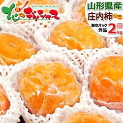 �y�\��z�R�`���Y ���n �����` 2kg (�G�i/10�ʁ`14�ʓ���/�^��p�b�N) �` ���� �M�t�g ���蕨 ������