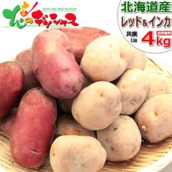 �y�\��z�k�C���Y ���Ⴊ���� 4kg (�C���J�̂߂��� 2kg�E���b�h���[�� 2kg) ��� �k�C�� ������