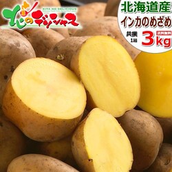 �y�\��z�k�C���Y ���Ⴊ���� �C���J�̂߂��� 3kg �n�鏒 ��� �H��� ����p �ƒ�p �k�C�� ������