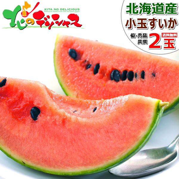 �y�o�ג��z�k�C���Y ���ʃX�C�J 2�� (����/�D�i�E�G�i/�T�C�Y:1�� 2�`3kg) ���ʂ����� ������ �X�C�J �M�t�g ���蕨 �k�C�� ������