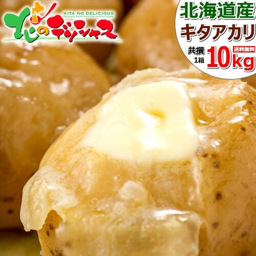 �y�o�ג��z�k�C���Y ���Ⴊ���� �L�^�A�J�� 10kg (JA����/�퉷) �k������ �W���K�C�� �k�C�� �����񂹁y������s�z_0