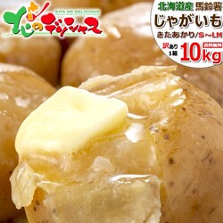 �y�\��z�k�C���Y ���ƒ�p ���Ⴊ���� �L�^�A�J�� 10kg (JA����/S�`LM/�퉷��) �k�C�� ������