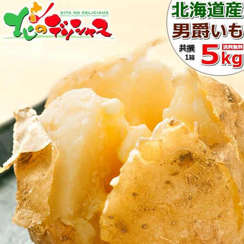 �y�o�ג��z�k�C���Y ���Ⴊ���� �j�ݏ� 5kg (JA����/�퉷) �j�݂��� �W���K�C�� �k�C�� �����񂹁y������s�z_0