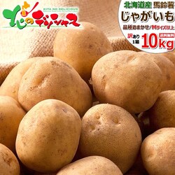 �y�\��z�k�C���Y �V���Ⴊ �󂠂� ���Ⴊ���� 10kg (�i�킨�C��/M�T�C�Y�ȏ�) �W���K�C�� �k�C�� ������
