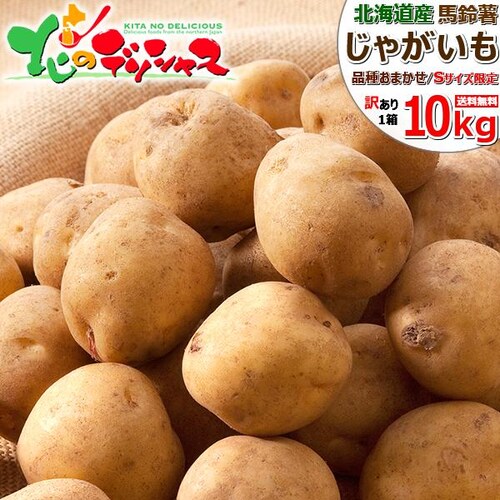 【出荷間近】北海道産 新じゃが 訳あり じゃがいも 10kg (品種お任せ/Sサイズ限定) ジャガイモ 馬鈴薯 自宅用 ご家庭用 北海道 野菜 グルメ お取り寄せ_0