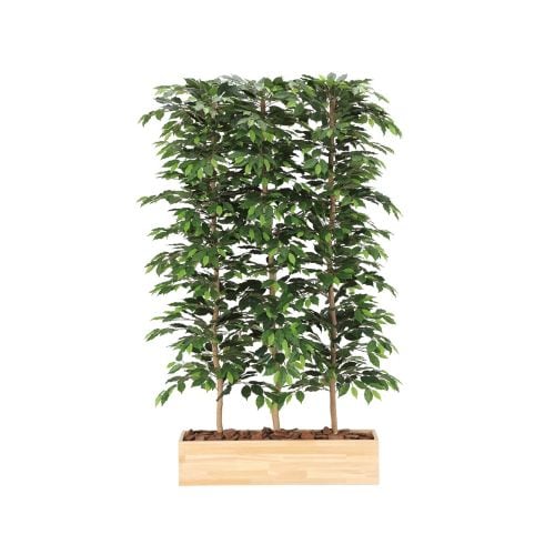 �l�H�ϗt�A���@�x���W���~��1.8���p�[�e�[�V�����@���G�}���H