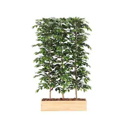 �l�H�ϗt�A���@�x���W���~��1.8���p�[�e�[�V�����@���G�}���H