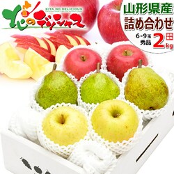 �y�\��z�~�̉ʎ� 3�F�l�ߍ��킹 2kg (�G�i/6�ʁ`9�ʓ���/�T���ӂ������E�t�����X���V�i�m�S�[���h) �M�t�g