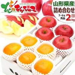 �y�\��z�~�̉ʎ� 2�F�l�ߍ��킹 2kg (�G�i/7�ʁ`9�ʓ���/�T���ӂ��������`) �M�t�g ���蕨 ������